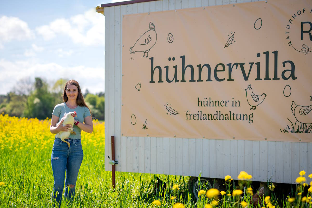 Frische Eier im Karton